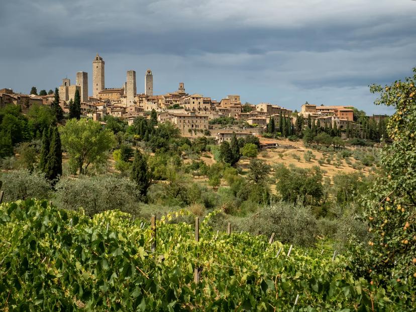 Scenic view of San Gimignano's medieval towers rising above lush vineyards in Tuscany, perfect for a wine tour from Florence.