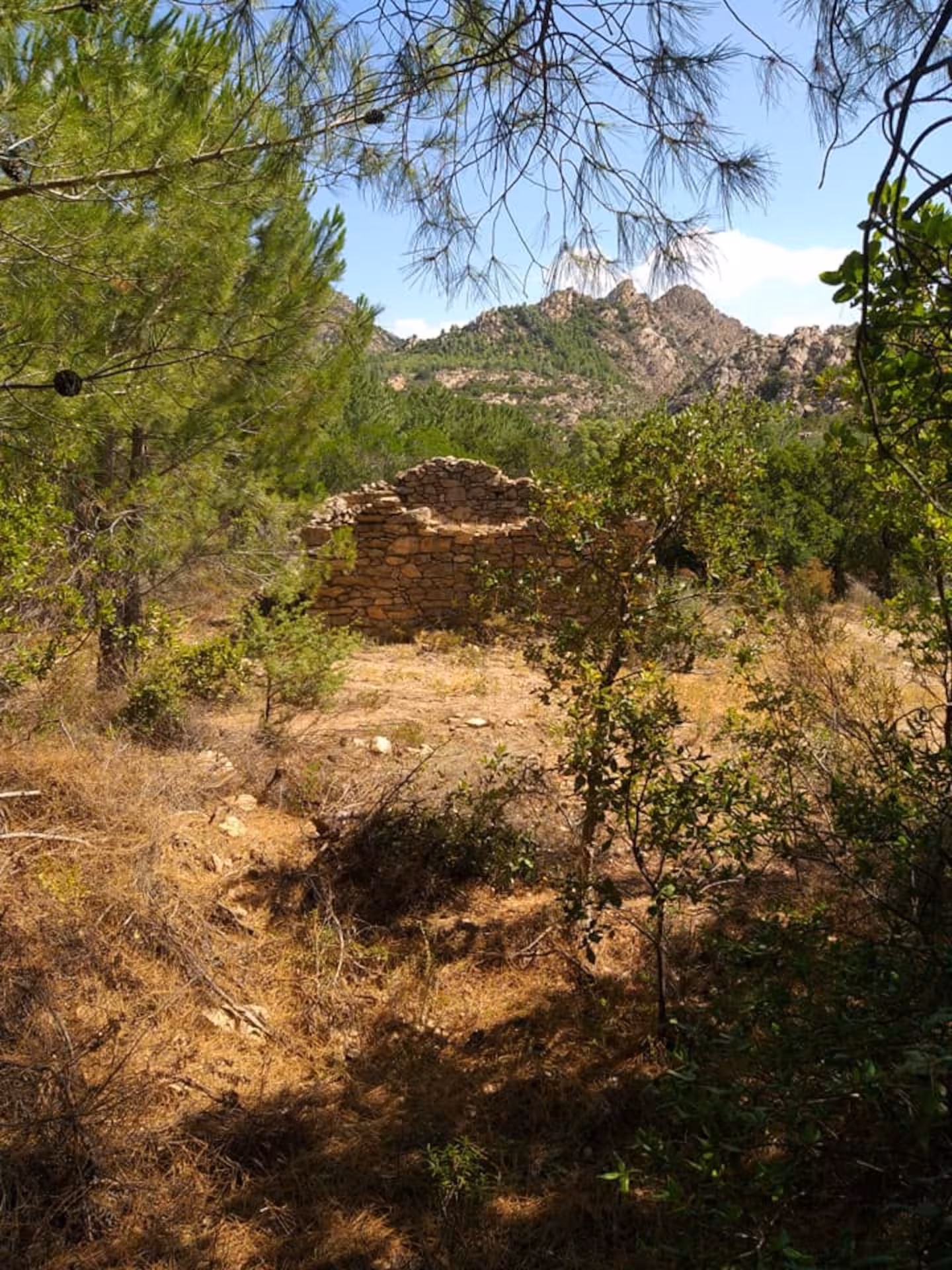 Ruins of an ancient stone structure nestled in lush greenery with mountains in the background on a San Teodoro jeep tour.