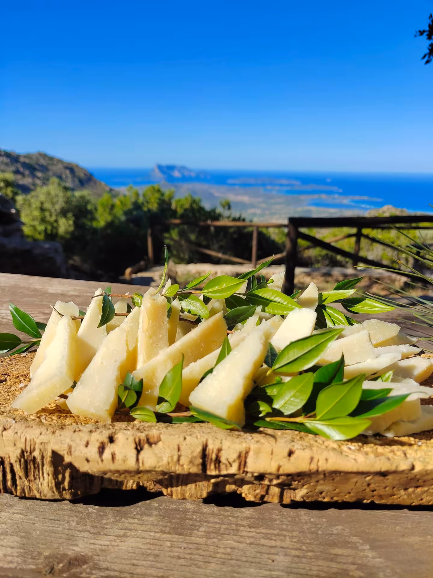 Sardinian cheese platter on a rustic board with a stunning coastal view during the San Teodoro jeep tour.
