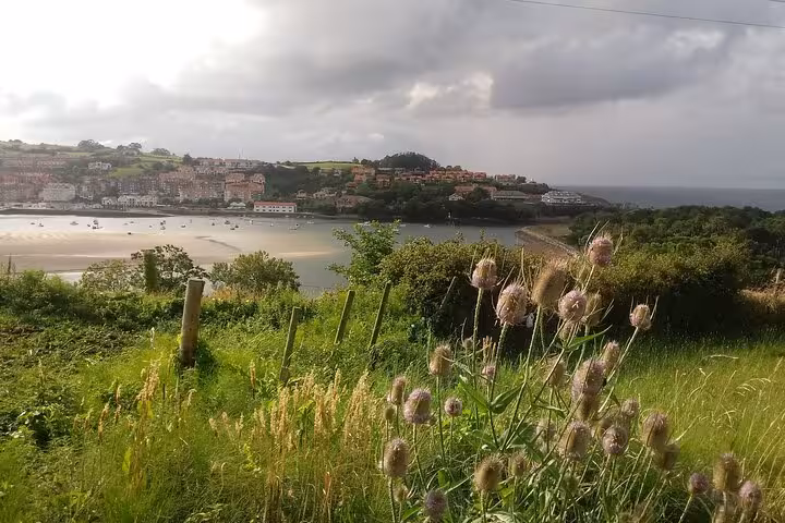Scenic view of a lush green landscape overlooking the serene coastal town of San Vicente de la Barquera.