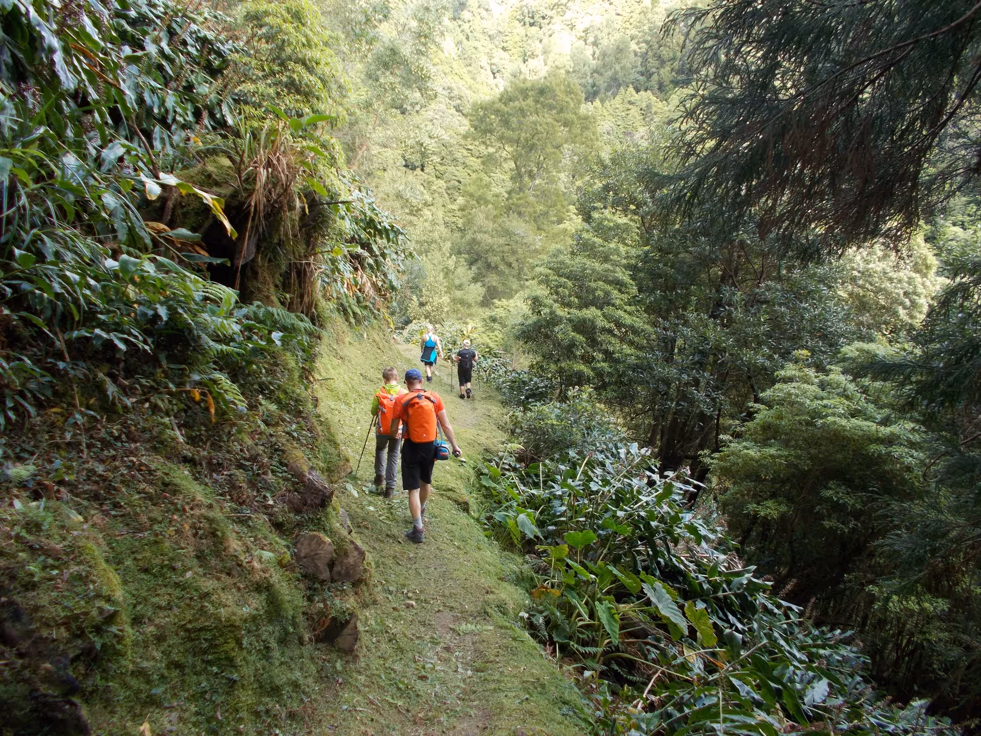 Hikers on a lush forest trail during the Sanguinho all-day walking tour, São Miguel Azores trek