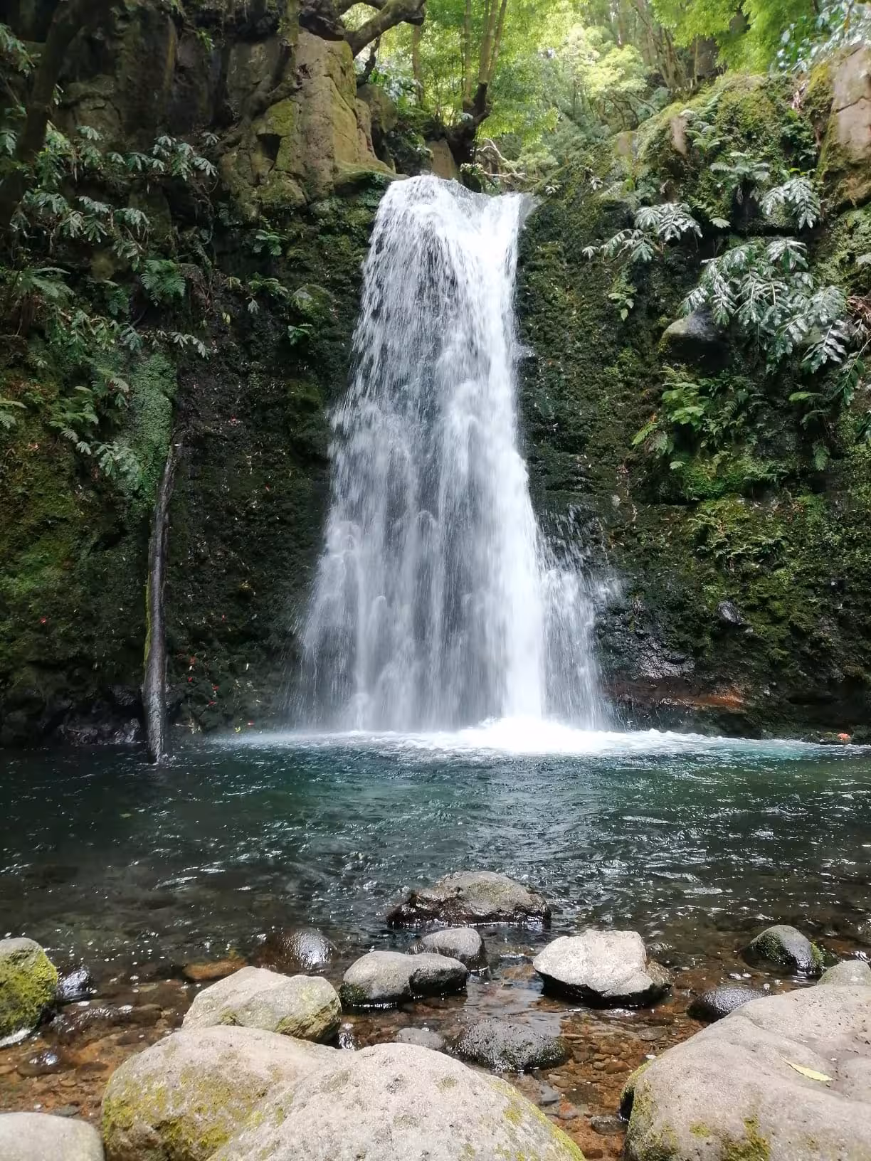 Sanguinho Walking Tour all-day hike to a lush rainforest waterfall and rock pool in São Miguel, Azores