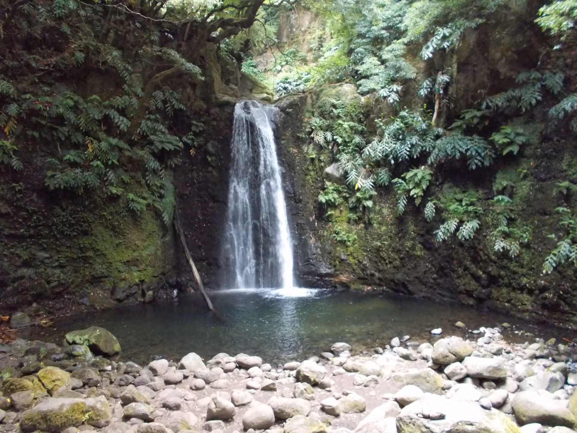 Forest waterfall and rocky pool on the Sanguinho Walking Tour all-day hike in Sao Miguel, Azores