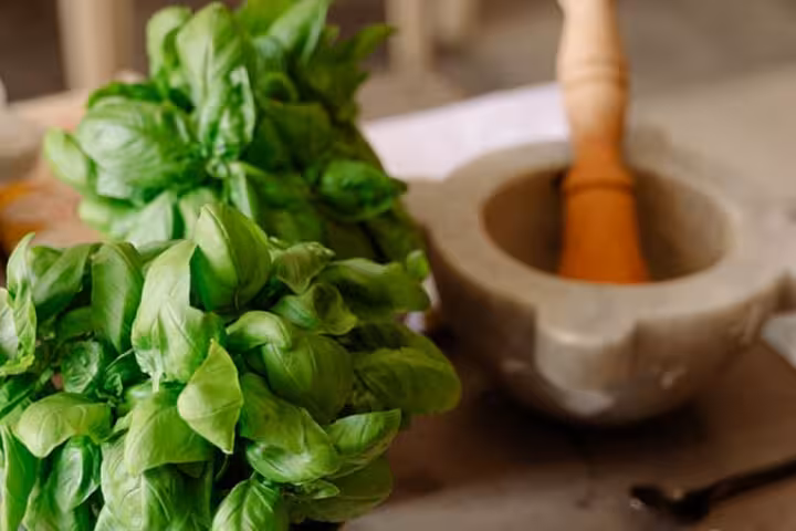 Fresh basil and mortar for authentic pesto making on Santa Margherita Ligurian food tour.