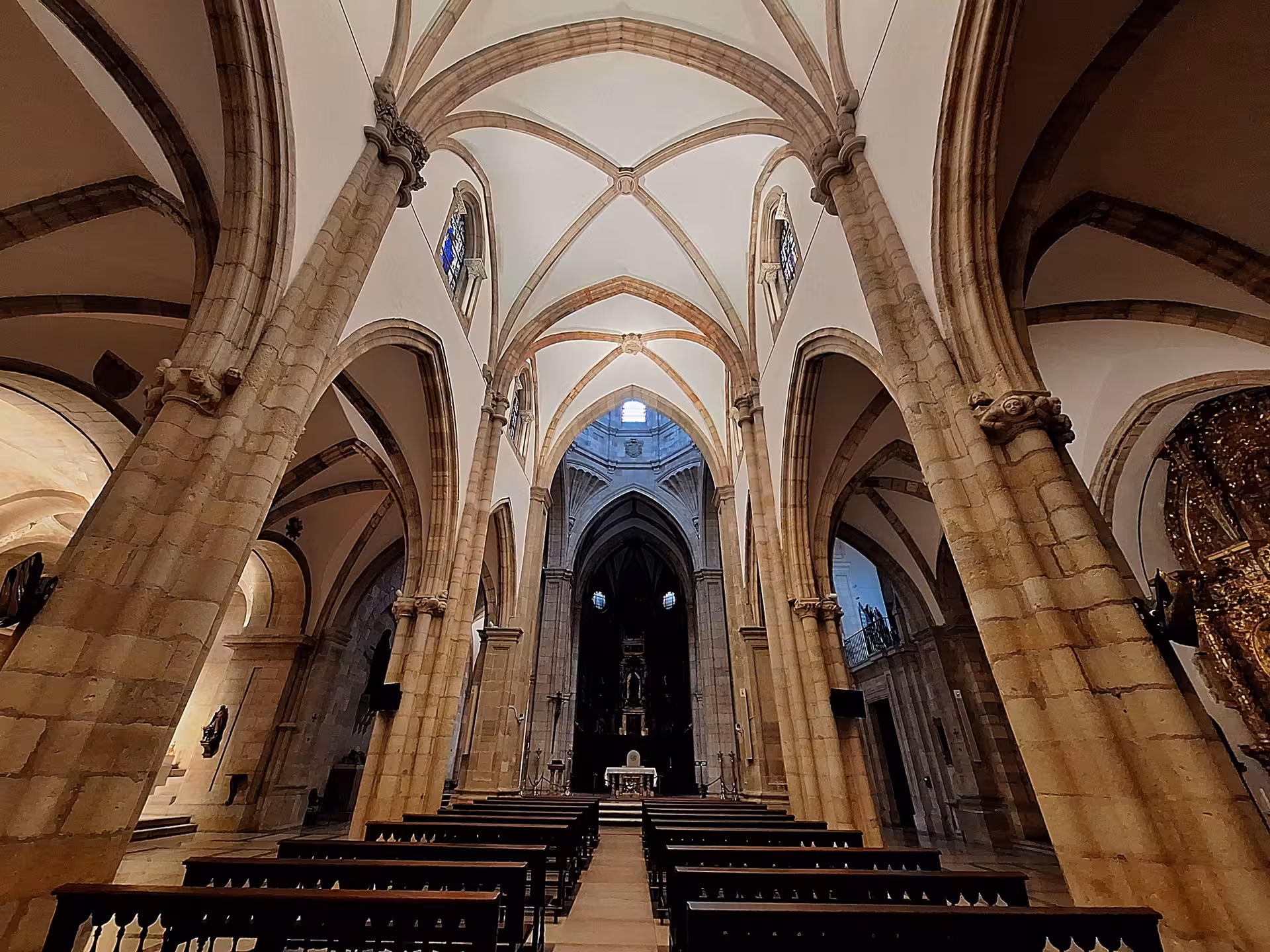 Interior view of Santander Cathedral showcasing Gothic arches and intricate stone columns on a guided tour.