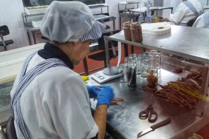 Worker delicately processing anchovies at a local facility, highlighting Santander's culinary craftsmanship.