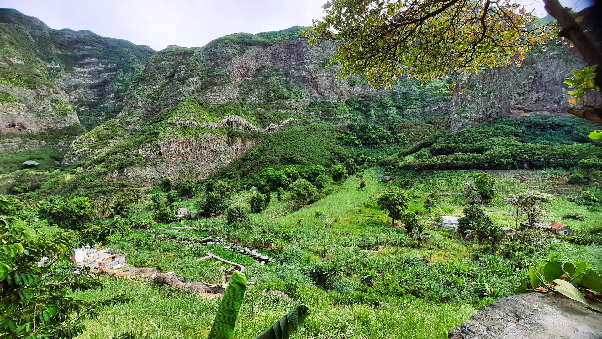 Lush green landscape of Cova de Paúl Volcano Crater with rocky cliffs and dense vegetation, ideal for trekking.