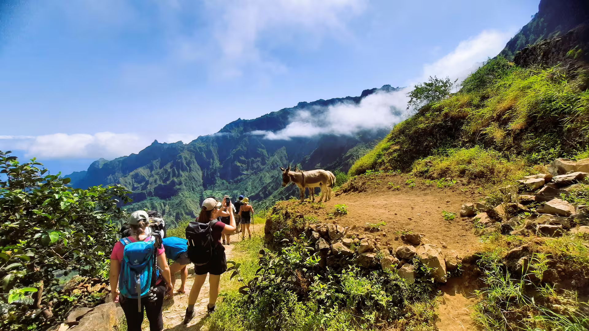 Hikers admire scenic views of mountains and a donkey on the Cova de Paúl trail in Santo Antão.