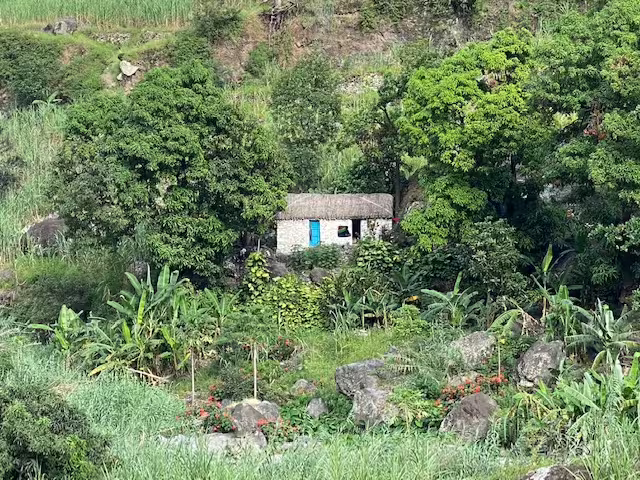 Scenic view of a rustic stone cottage surrounded by lush greenery and vibrant flora on Santo Antão Island, Cape Verde.