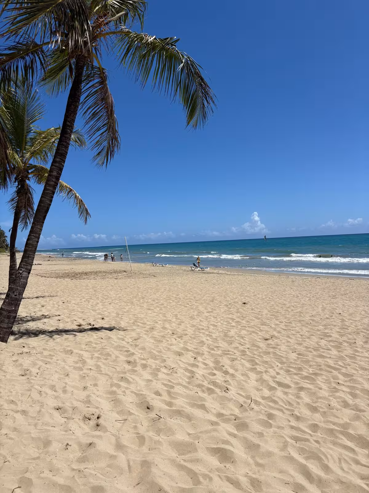 Palm-lined beach near Santo Domingo on the Caribbean coast