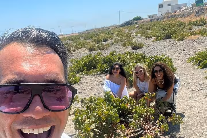 Travelers in Santorini vineyard during Thera one-day island tour, wine tasting stop included with lunch experience