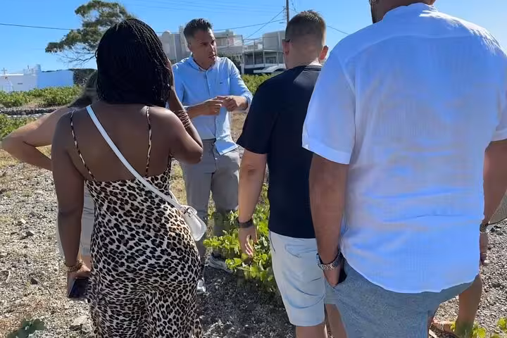 Guide explaining Santorini vineyard stop to guests on Island of Thera 8h island tour, lunch included and wine tasting