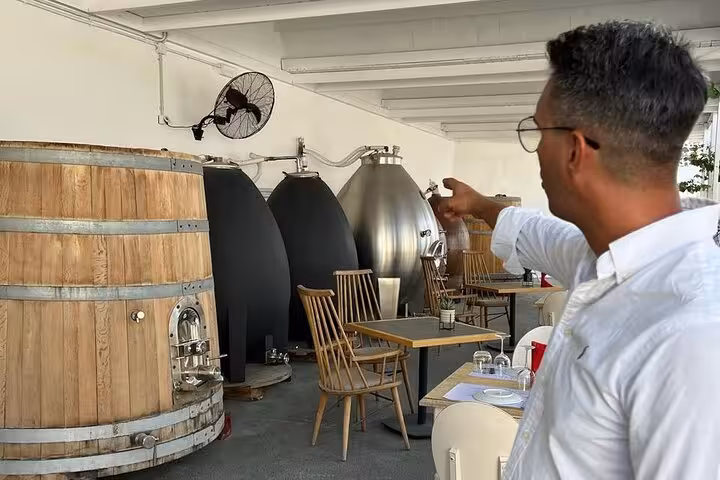 Guide points out wine tanks at a Santorini winery on a private wine tour, visiting top 3 wineries and views