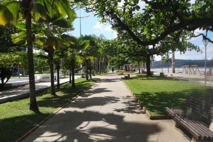 Sunny beachside promenade in Santos lined with palm trees, a serene stop on the Mont Serrat group tour.