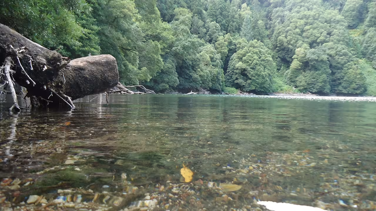 Crystal-clear river with pebbled riverbed and dense green forest, serene canyoning spot on São Miguel Jeep adventure tour