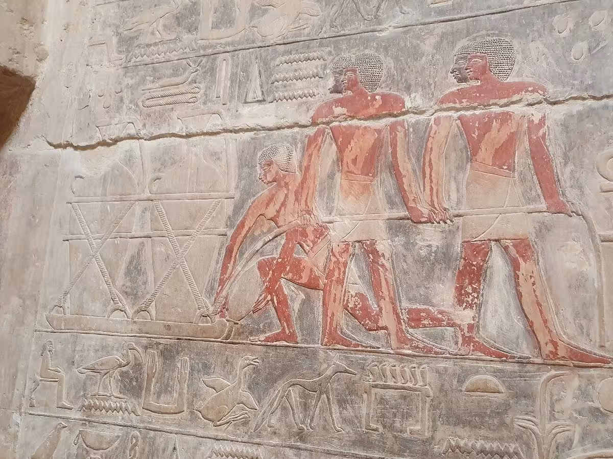 Painted tomb reliefs and hieroglyphs at Saqqara necropolis on half-day Memphis Saqqara Dahshur tour
