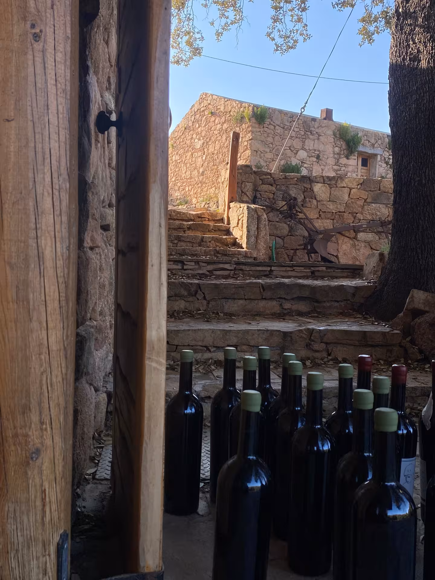 Staircase leading to a scenic stone village in Olbia, Sardinia, with wine bottles ready for tasting.
