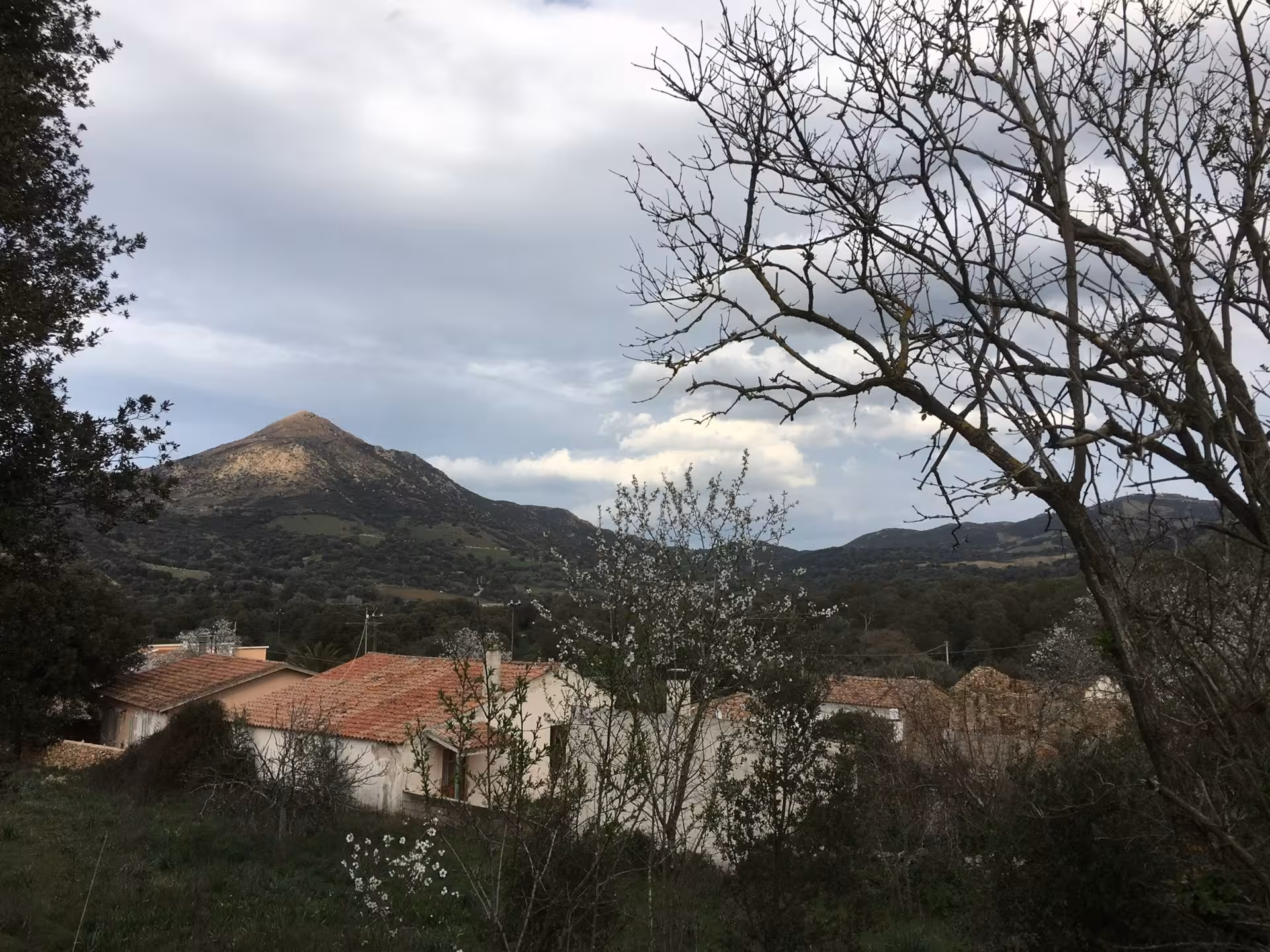 Scenic view of Sardinian village in Olbia with rustic houses and lush hills, perfect for an authentic pasta workshop.