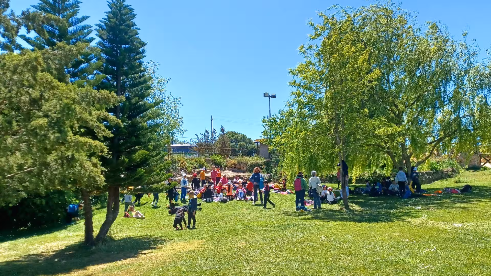 Visitors enjoy a sunny day at an educational farm in Sassari, surrounded by lush greenery and vibrant trees.