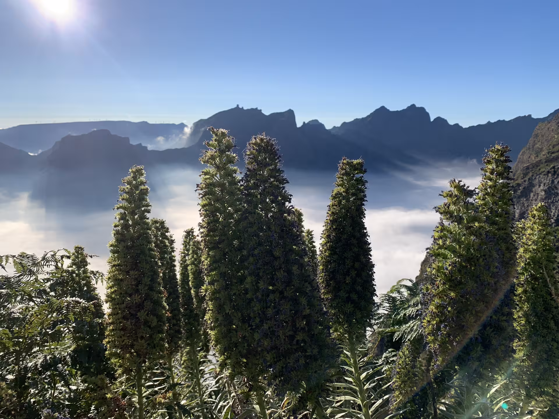 Scenic mountain landscape with lush vegetation and misty peaks on a sunny day, ideal for private group tours.