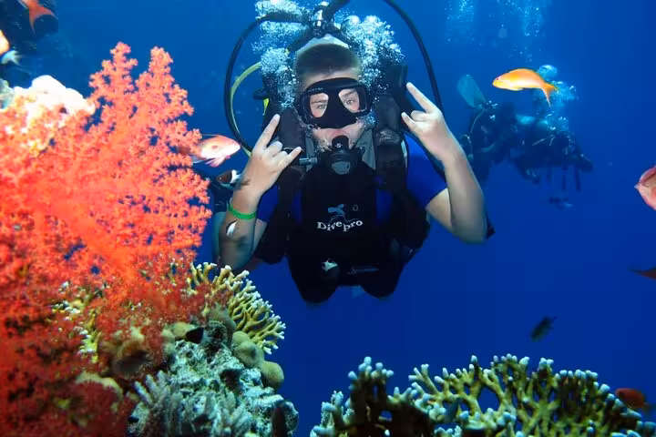 Scuba diver by vibrant coral reef in Ras Mohamed, Sharm El Sheikh day sail to White Island snorkeling tour