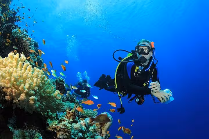 Scuba diver exploring vibrant coral reef with tropical fish in the crystal-clear Red Sea, Egypt