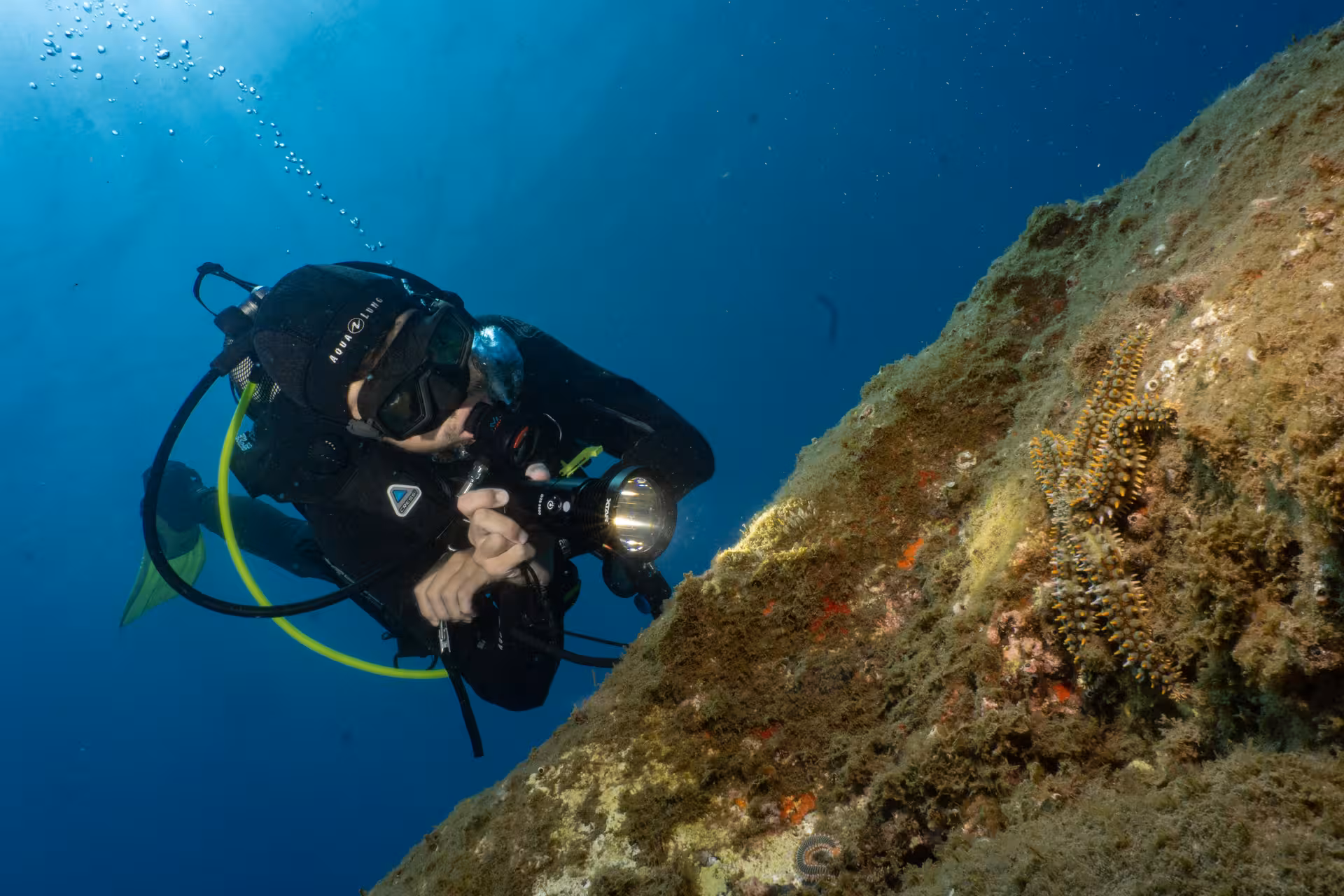 Scuba diver exploring marine life with flashlight on a house-reef dive from shore, capturing underwater beauty.