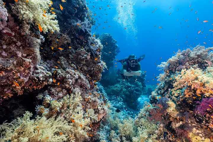 Scuba diver exploring Ras Mohamed coral canyon on VIP boat trip to White Island, Sharm El Sheikh