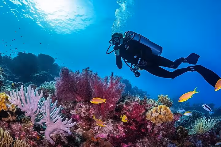 Scuba diver over vibrant Red Sea coral reef in Sharm El Sheikh, ideal for water sports adventure tour