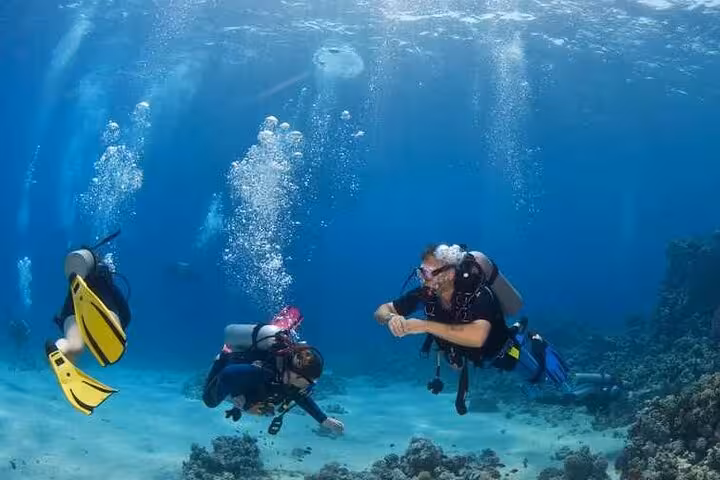 Scuba divers explore a Red Sea coral reef in Egypt with clear blue water, bubbles rising on a guided dive