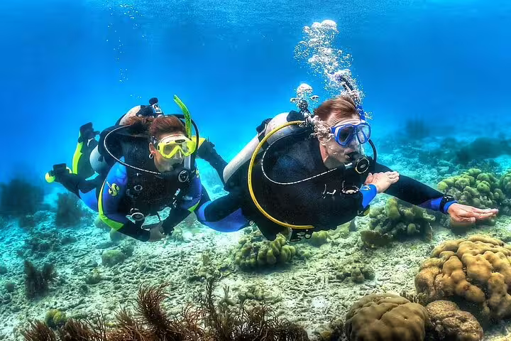 Two scuba divers swimming above Red Sea reef on Hurghada VIP boat diving and snorkeling day trip
