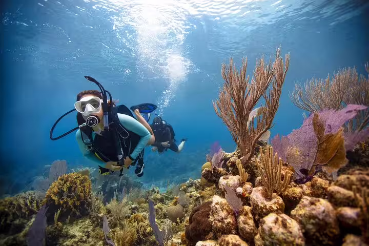 Scuba divers exploring vibrant coral reef on Hurghada VIP boat day trip in the Red Sea, Egypt