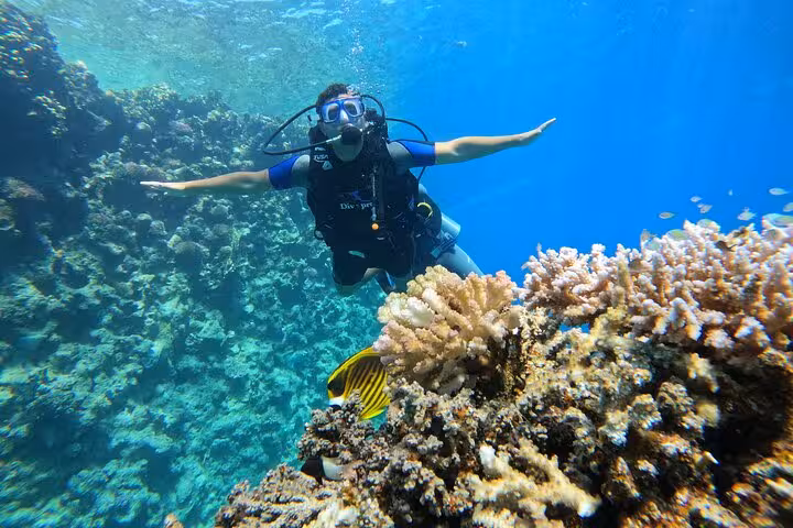 Scuba Diving Discovery Experience with diver hovering over colorful reef, clear blue water and reef fish