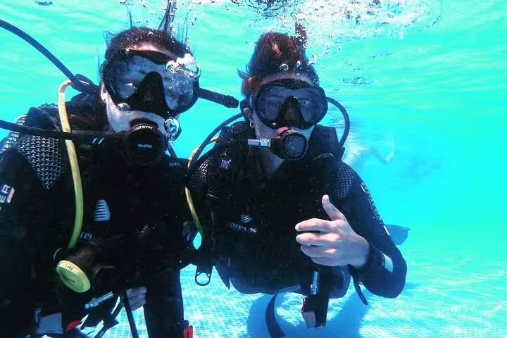 Two scuba divers explore vibrant underwater scenery in Funchal, Madeira, during an exhilarating beginner-friendly diving experience.