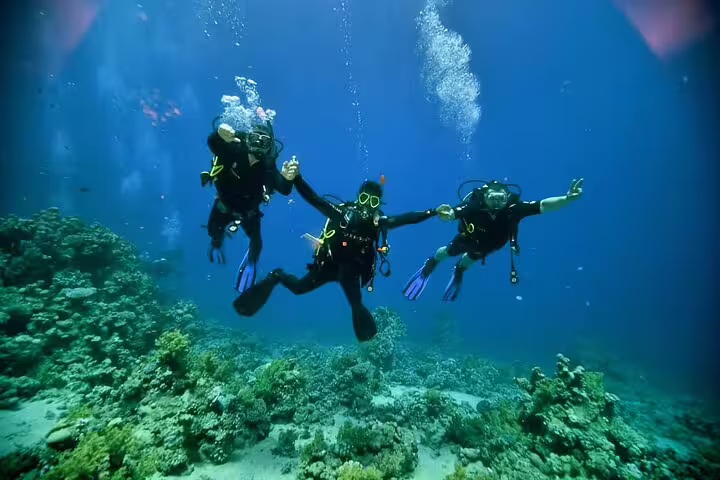 Group scuba diving above Ras Mohamed reef, Red Sea VIP boat day trip with snorkeling stops at White Island