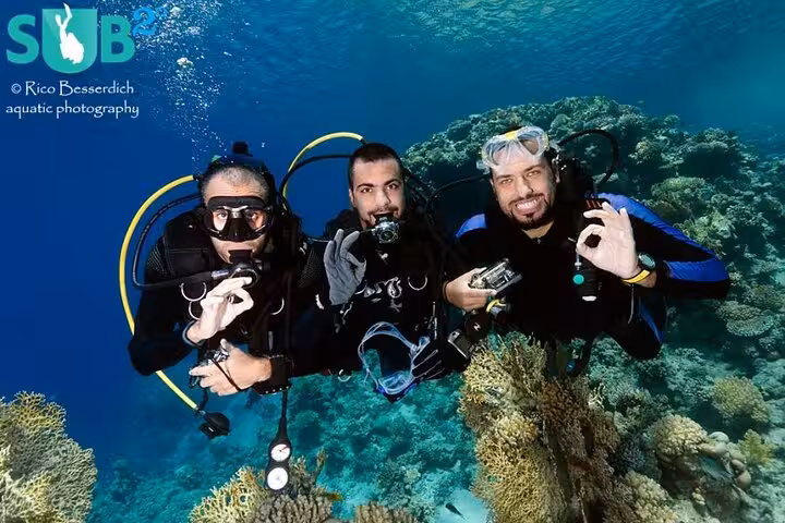 Scuba divers exploring vibrant Red Sea coral reef in Sharm El Sheikh, ideal water sports adventure tour