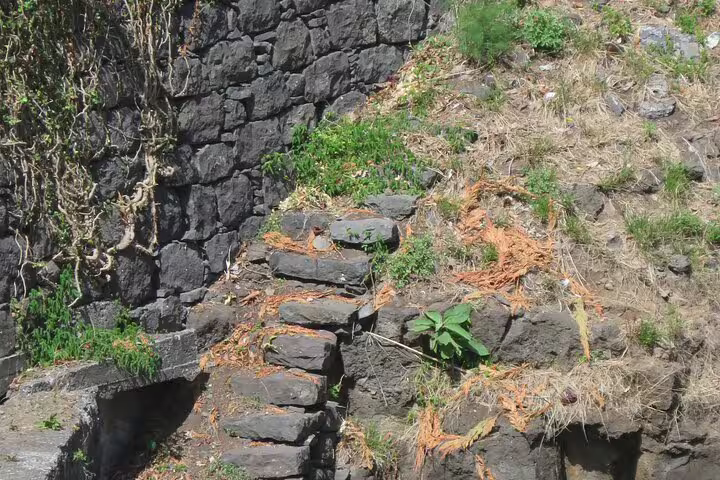Rustic stone steps lead through lush greenery on a scenic sea cliff, perfect for a half-day jeep wine tour and adventure.