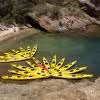 Sea kayakers in bright yellow boats exploring the Calanques de Cassis, turquoise water and limestone cliffs