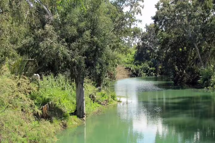 Green river and shady trees near the Sea of Galilee on a private day trip from Tel Aviv to Tiberias