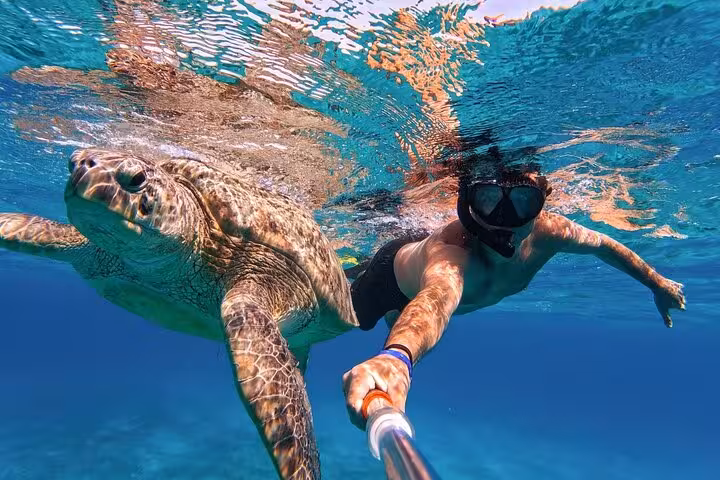 Snorkeler swimming beside a sea turtle in Marsa Mubarak, Marsa Alam boat trip on the Red Sea