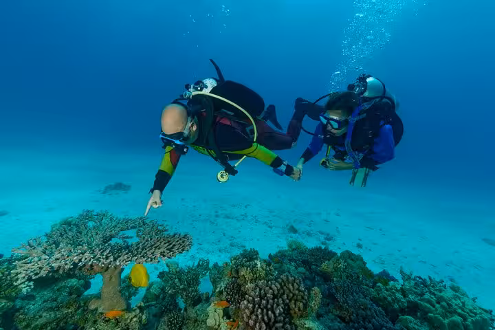 Scuba divers exploring vibrant coral reef on Marsa Mubarak boat trip, Marsa Alam snorkeling and diving tour