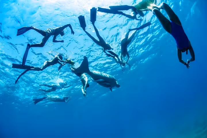 Group snorkeling in Marsa Mubarak, Marsa Alam Red Sea boat trip, spotting turtles and reef marine life