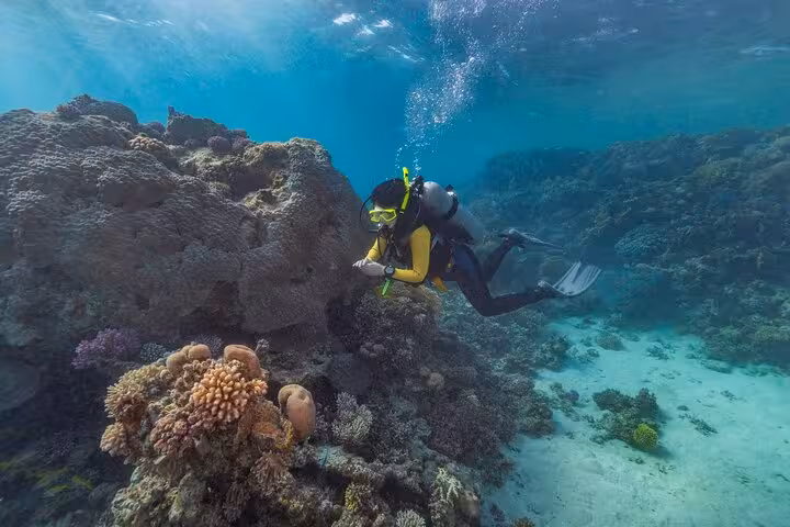 Scuba diver exploring coral reef at Marsa Mubarak, Marsa Alam boat trip with snorkeling in the Red Sea