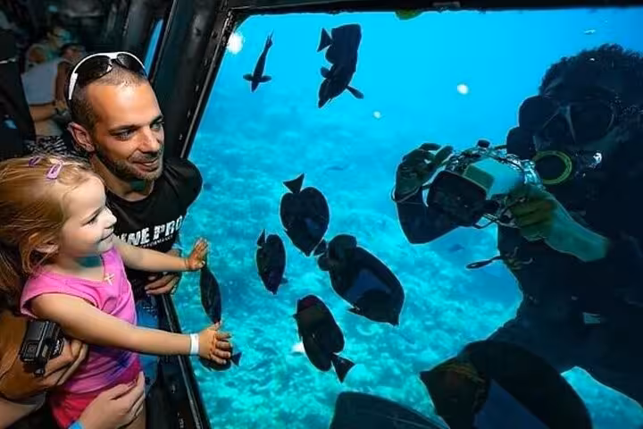 Family watches diver filming tropical fish through panoramic window on Hurghada 2-hour semi-submarine adventure