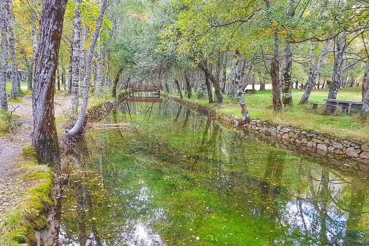 Serene forest stream in Serra da Estrela, offering a picturesque setting for a half-day off-road tour with cheese tasting.