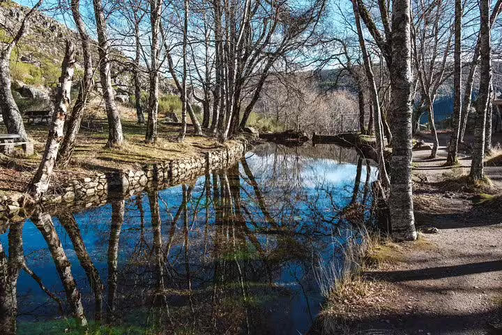 Serene winter landscape at Serra da Estrela with tranquil river reflections and bare trees, ideal for nature lovers.