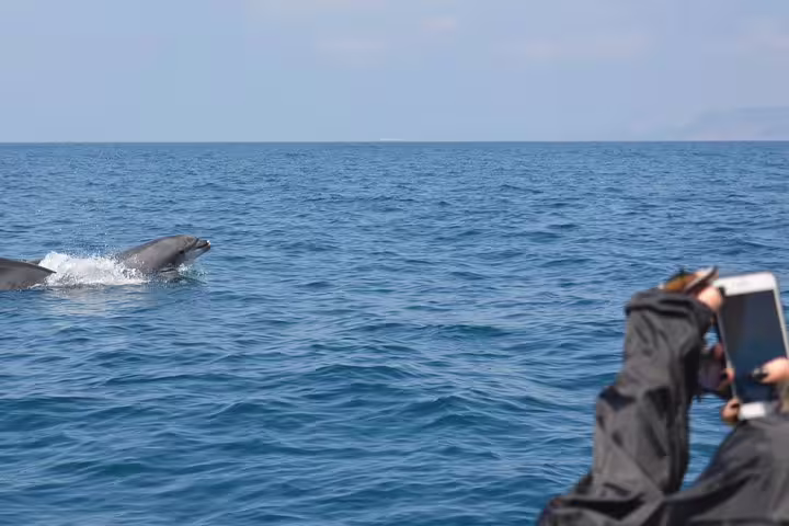 Tourist capturing playful dolphins near boat on a picturesque Sesimbra dolphin watching tour, with clear blue ocean backdrop.