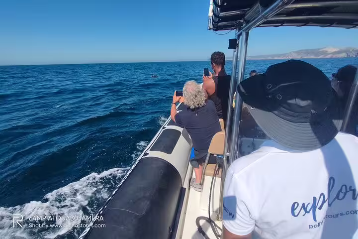 Tourists enjoy a thrilling dolphin watching and boat tour in Sesimbra, capturing photos of the ocean and marine life.