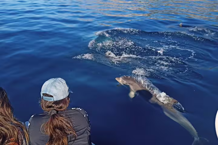 Visitors on a boat tour in Sesimbra watching dolphins playfully swim in the crystal-clear ocean waters.