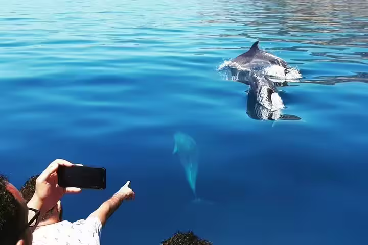 Tourists on a boat capture dolphins swimming in clear blue waters during a Sesimbra dolphin watching tour.